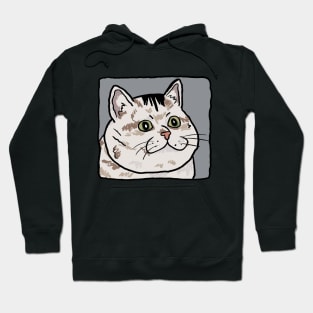 Sad cat Hoodie